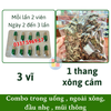 Cảm Cúm F Fito - Hổ Trợ Cảm Mạo Phong Nhiệt - Giảm Nhức Đầu - Hắt Hơi Sổ Mũi