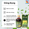 Thông phế Phúc Hưng - Giảm ho, tan đàm - Hổ trợ tốt cho người viêm phế quản cấp và mãn tính chai 250ml