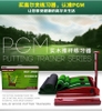 tham-tap-golf-trong-nha-tham-go