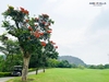 booking-san-golf-amberhill-yen-dung-bac-giang