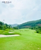 booking-san-golf-amberhill-yen-dung-bac-giang