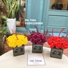 binh-thuy-tinh-2x