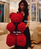 hoa-gau-teddy-8x