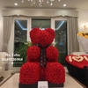 hoa-gau-teddy-12x