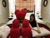 hoa-gau-teddy-10x