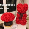 hoa-gau-teddy-2-5-x