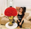 binh-hoa-hong-chau-au-4-5x-do-3