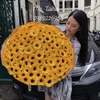 bo-huong-duong-tron