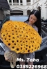 bo-huong-duong-tron
