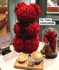 hoa-gau-teddy-3x-do
