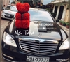 hoa-gau-teddy-size-nho