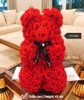 hoa-gau-teddy-2-5x-do
