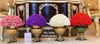 binh-hoa-hong-chau-au-1-5x-kem-ivory