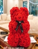 hoa-gau-teddy-2-5x-do