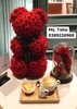 hoa-gau-teddy-3x-do