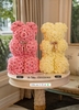 hoa-gau-teddy-5x-hong-baby
