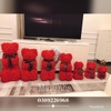 hoa-gau-teddy-1x