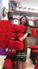 hoa-gau-teddy-size-nho