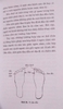Bấm Huyệt Bàn Chân