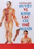 Huyệt Vị Kinh Lạc Cơ Thể Người