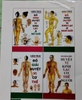 Huyệt Vị Kinh Lạc Cơ Thể Người
