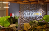 KHÁCH SẠN SUPER HOTEL HÀ NỘI