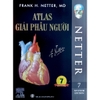 Sách - Atlas Giải Phẫu Người (Tái bản lần thứ 7)