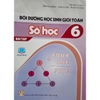 Sách - Bồi dưỡng học sinh giỏi Toán - Đại Số + Hình học (Bài tập) lớp 6