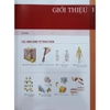 Sách - Atlas Giải Phẫu Người (Tái bản lần thứ 7)