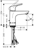Vòi Lavabo HansGrohe Focus 100