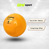 Quả Banh Bóng Chuyền Hơi Động Lực Jatan PVC 250g