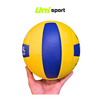 Quả Banh Bóng Chuyền Gerusta - VTV CUP