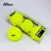 Quả Bóng Pickleball Zocker 5 sao