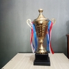Cúp kim loại 1515D , 35cm