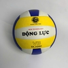 Quả Bóng Chuyền Động Lực DL220C