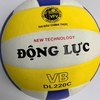 Quả Bóng Chuyền Động Lực DL220C