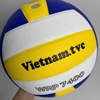 Quả Banh Bóng Chuyền Thăng Long WRP 7400