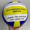 Quả Bóng Chuyền Thăng Long Pro 7700