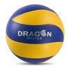 Quả Banh Bóng Chuyền Thăng Long DG 310 Dragon