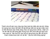 but-bi-stabilo-exam-grade-bp587nxf-net-0-5mm