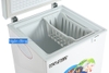 Tủ đông Hòa Phát 107 lít HCF-106S1Đ