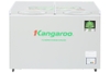 Tủ đông Kangaroo Inverter 290 lít KGFZ290IC1