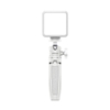 Ulanzi VL49 Light màu trắng White tích hợp 49 bóng led 4 cấp độ ánh sáng điều chỉnh