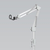 Ulanzi MA50 mount kẹp từ tính cho điện thoại tích hợp ngàm Uka Quick Release chính hãng