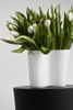 Bình hoa Aalto, kích thước 160mm, chất liệu thủy tinh, trắng đục