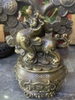 Cây Tiền Dạ Cổ_19cm_Tượng Phong Thủy