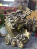 Cá Hoá Rồng Lớn 26x20 cm-CN 3,5 kg