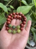 Chuỗi Tay Tử Đàn Kết Hợp Hạt Bạch Ngọc Trai Khắc Thần Chú ommani 12 ly-15 gr!