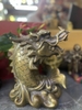 Cá Hoá Rồng Lớn 26x20 cm-CN 3,5 kg