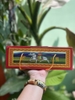 Thùng Giấy Ngựa Báu -giấy Nhỏ-40 xấp-26x11cm!